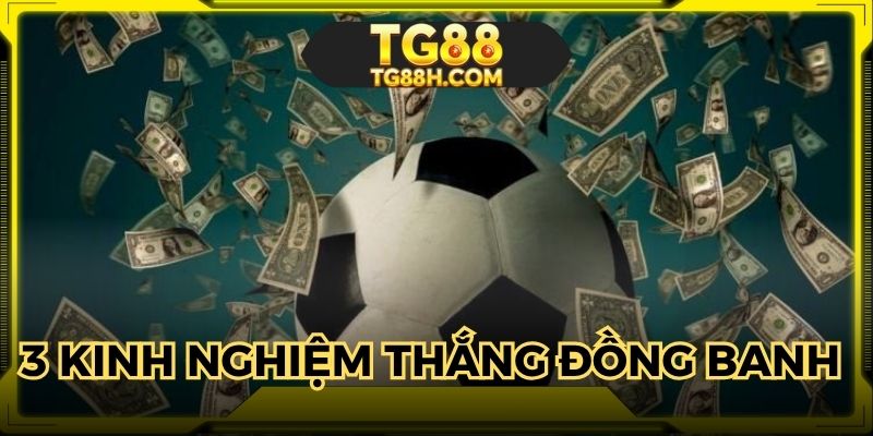 3 kinh nghiệm mang về chiến thắng từ chuyên gia