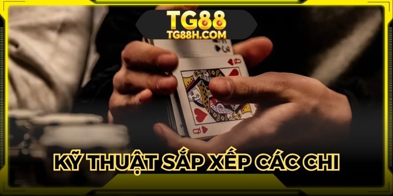 Áp dụng một vài kỹ thuật sắp xếp các chi hợp lý