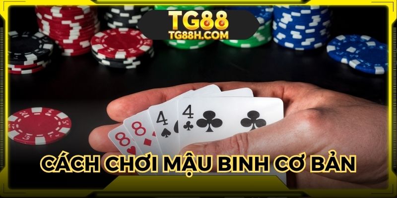 Cách chơi mậu binh dễ hiểu nhất cho người mới nhập môn