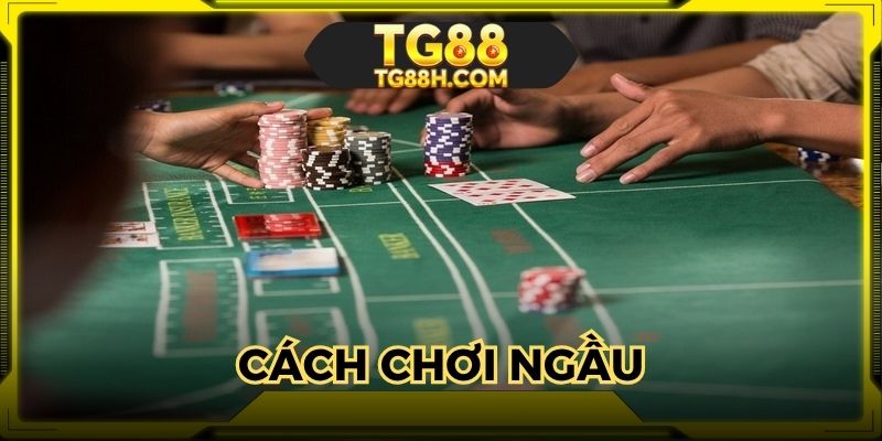 cach-choi-ngau-ham-tg88-choi-nhe-ma-thang-tien-rung-tui