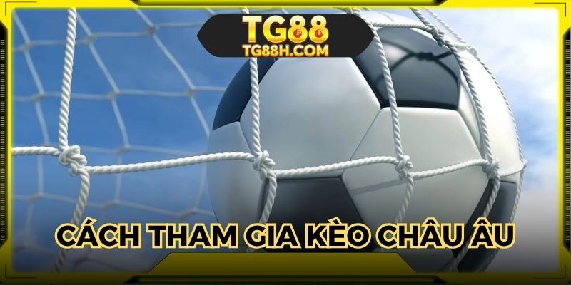 Chia sẻ cách tham gia kèo châu Âu dễ dàng