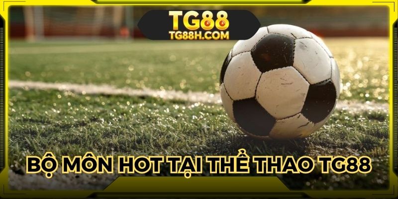 Điểm danh bộ môn có lượt truy cập và đặt cược khủng