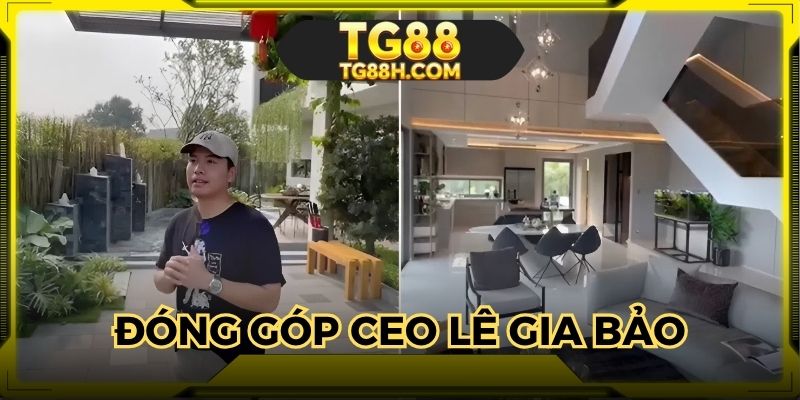 Đóng góp tác giả với nhà cái và lĩnh vực giải trí