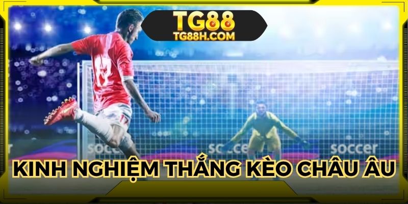 Kinh nghiệm bất bại từ đội ngũ chuyên gia lâu năm