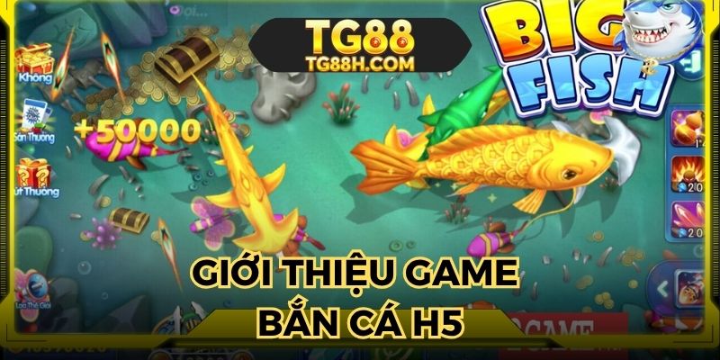 Mang đến sân chơi giải trí hấp dẫn