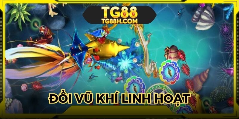 Sử dụng đúng lúc để kiếm xu cao